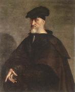 Sebastiano del Piombo portrait of andrea doria France oil painting artist